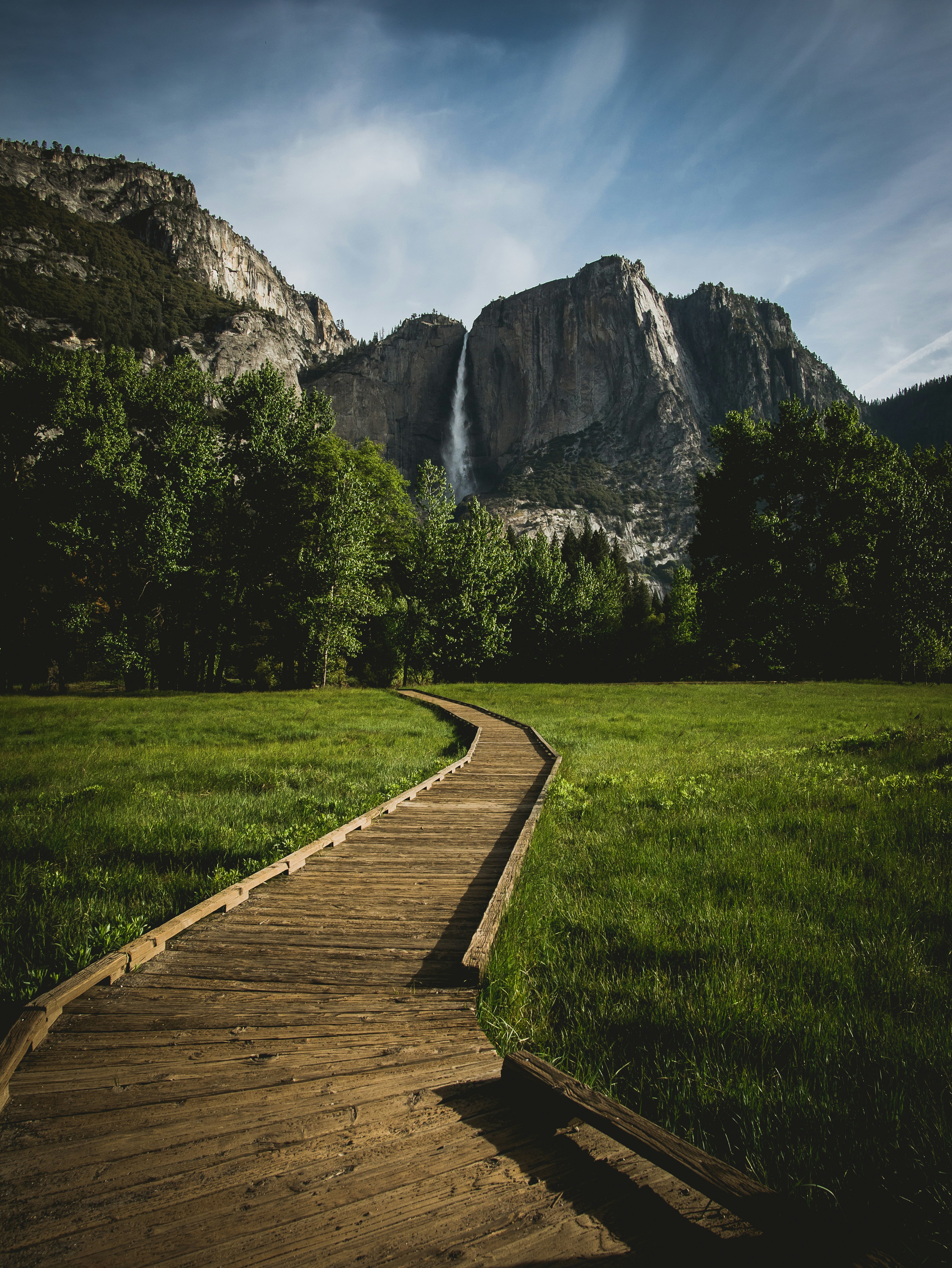 brown pathway on green grass field