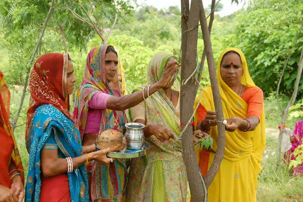 111_trees_planted_for_girl_child_born_mission sustainability