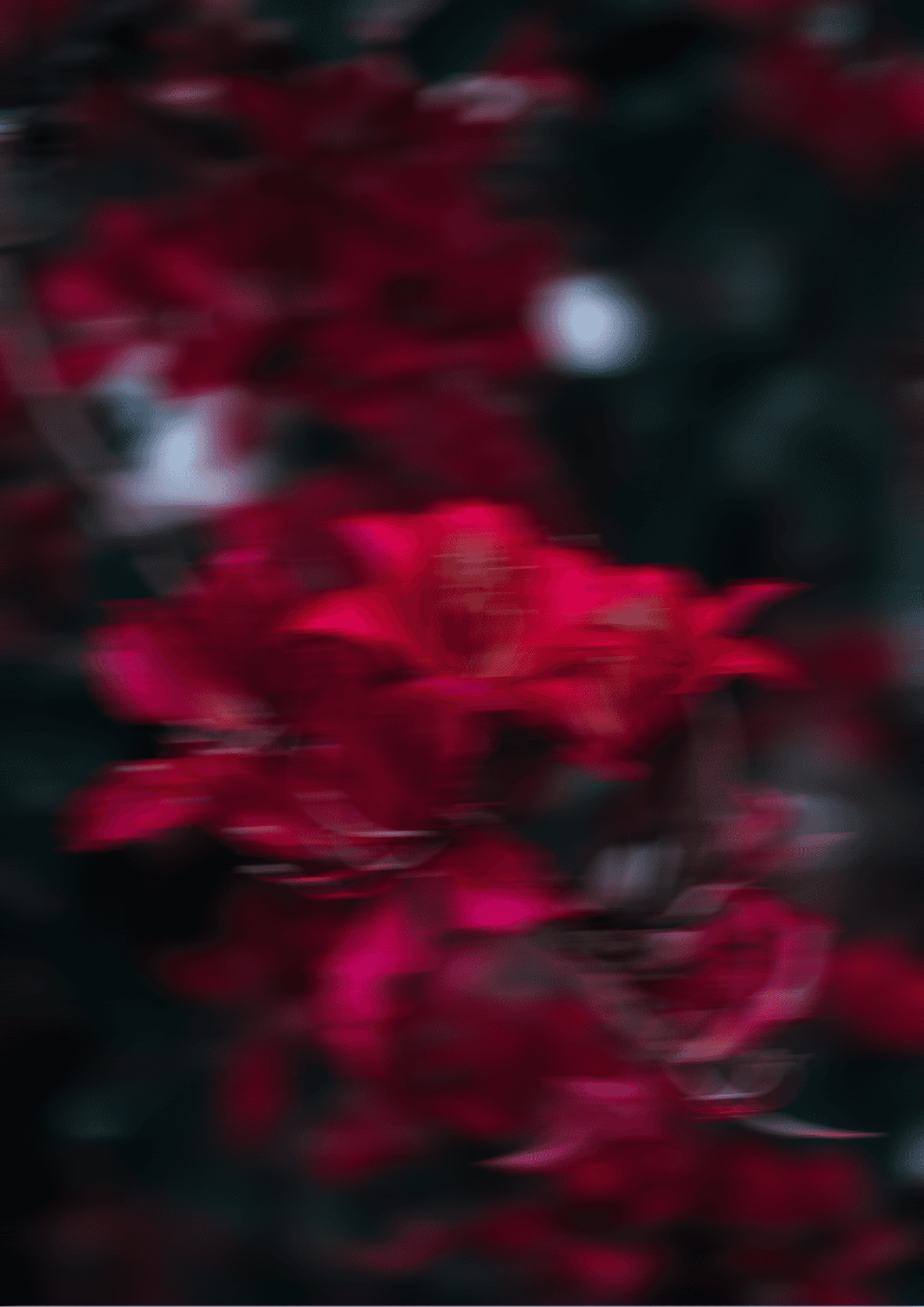 BG Image