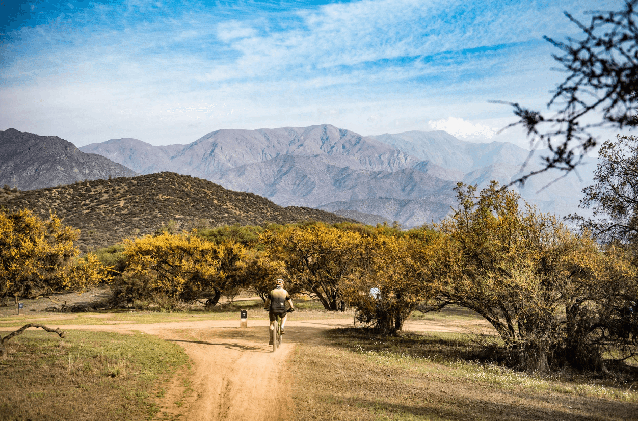 a black and white living room with a large tv