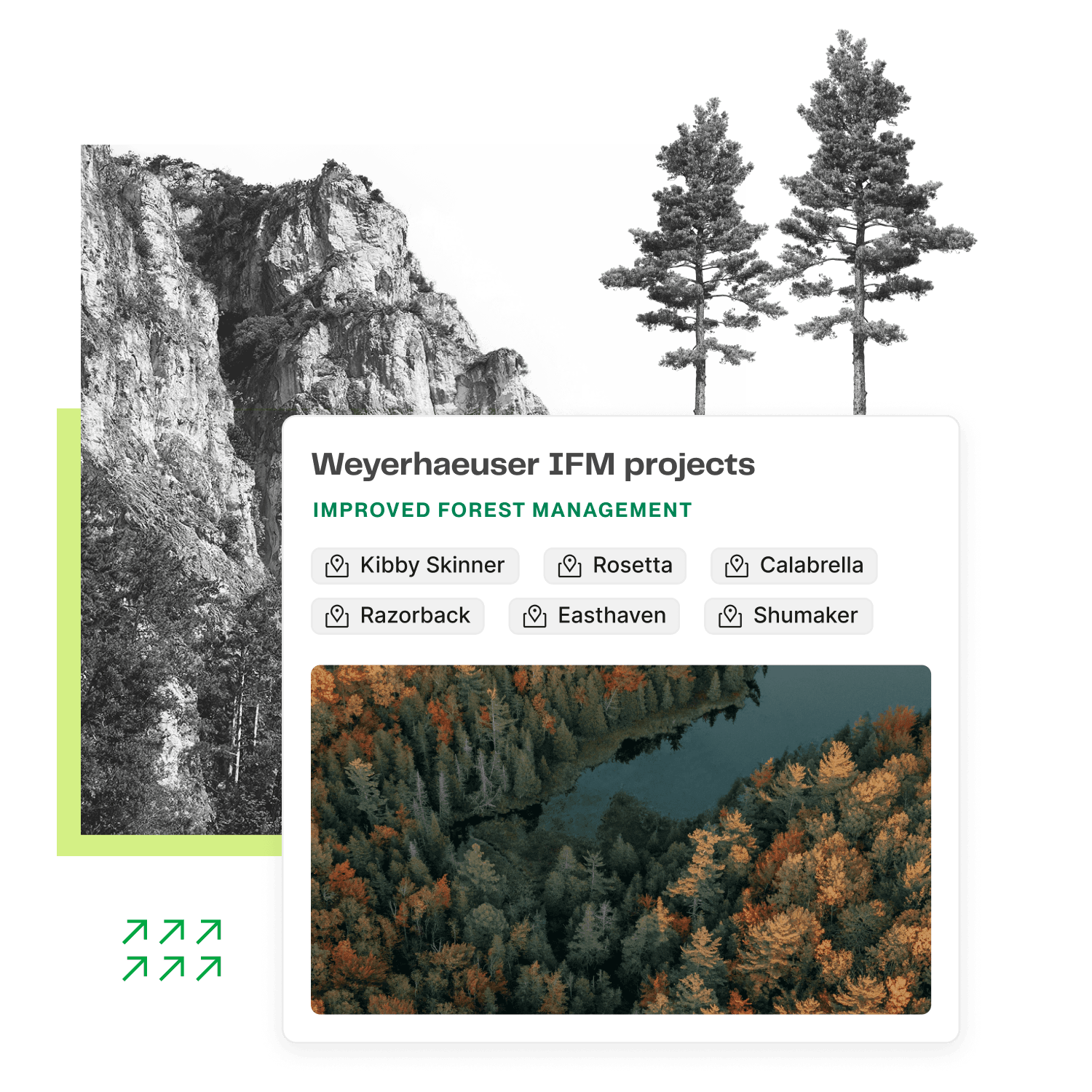 A collage-style illustration representing types of portfolio projects