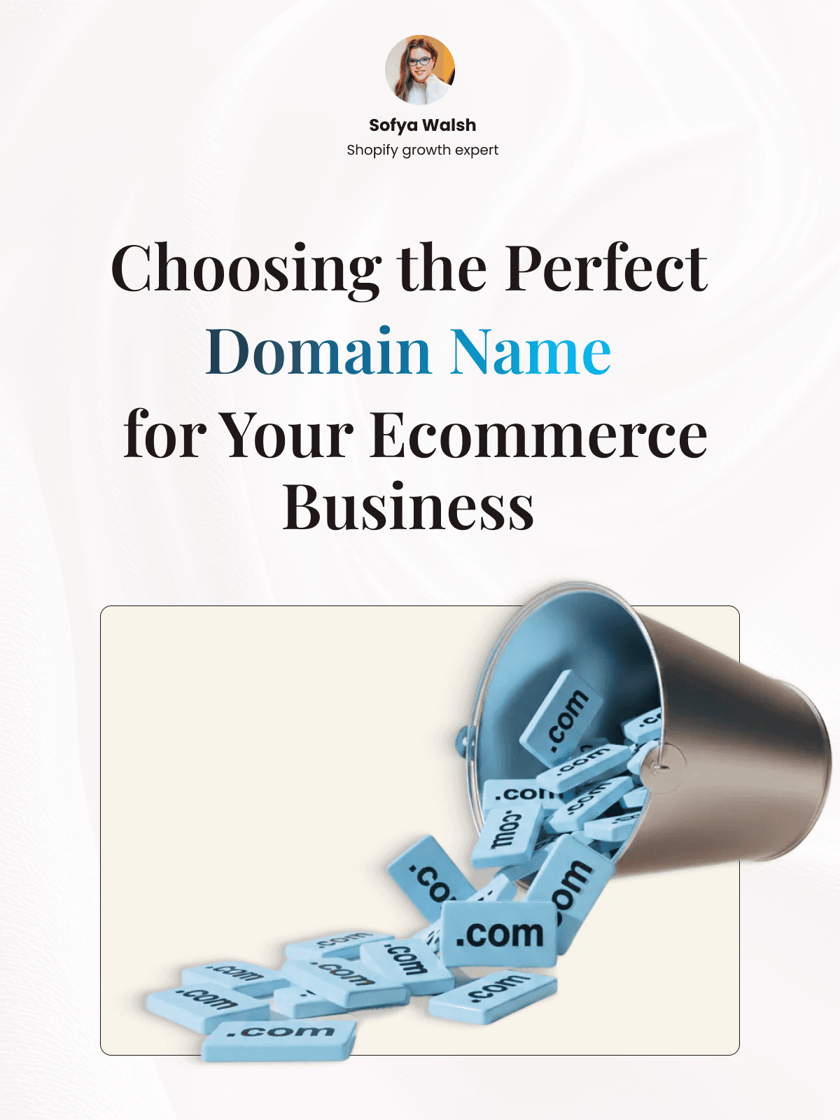 Choosing the Perfect Domain Name for Your Ecommerce Business