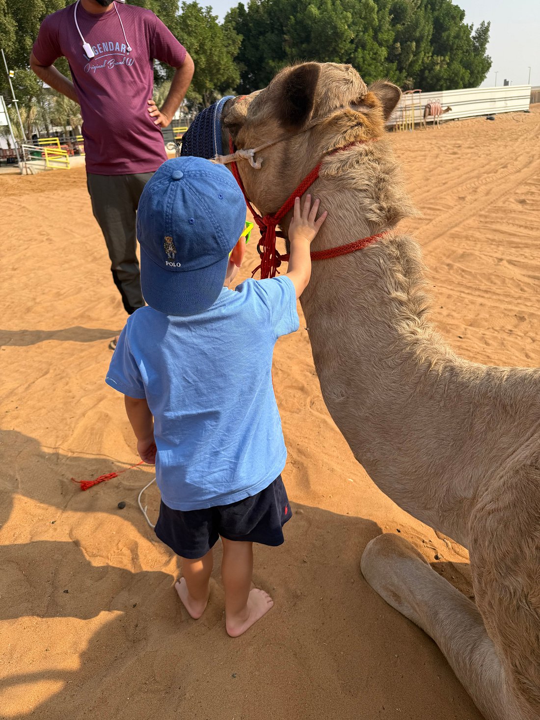 enny C and her family enjoying a family-friendly camel trek in the Dubai desert with Dune Quest Tours, a top-rated Desert Safari 2026 activity