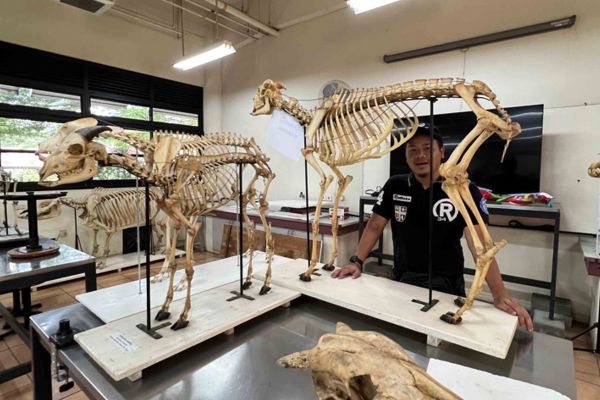 Kenali 3 Perkara Penting Tentang Doktor Haiwan (Veterinar) Yang Harus Pelajar Ketahui