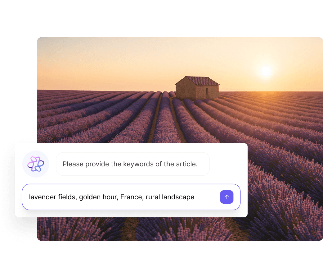 Sunset casts a warm glow over expansive lavender fields in France, with rows leading to a solitary rustic house on the horizon, highlighting the serene rural landscape.