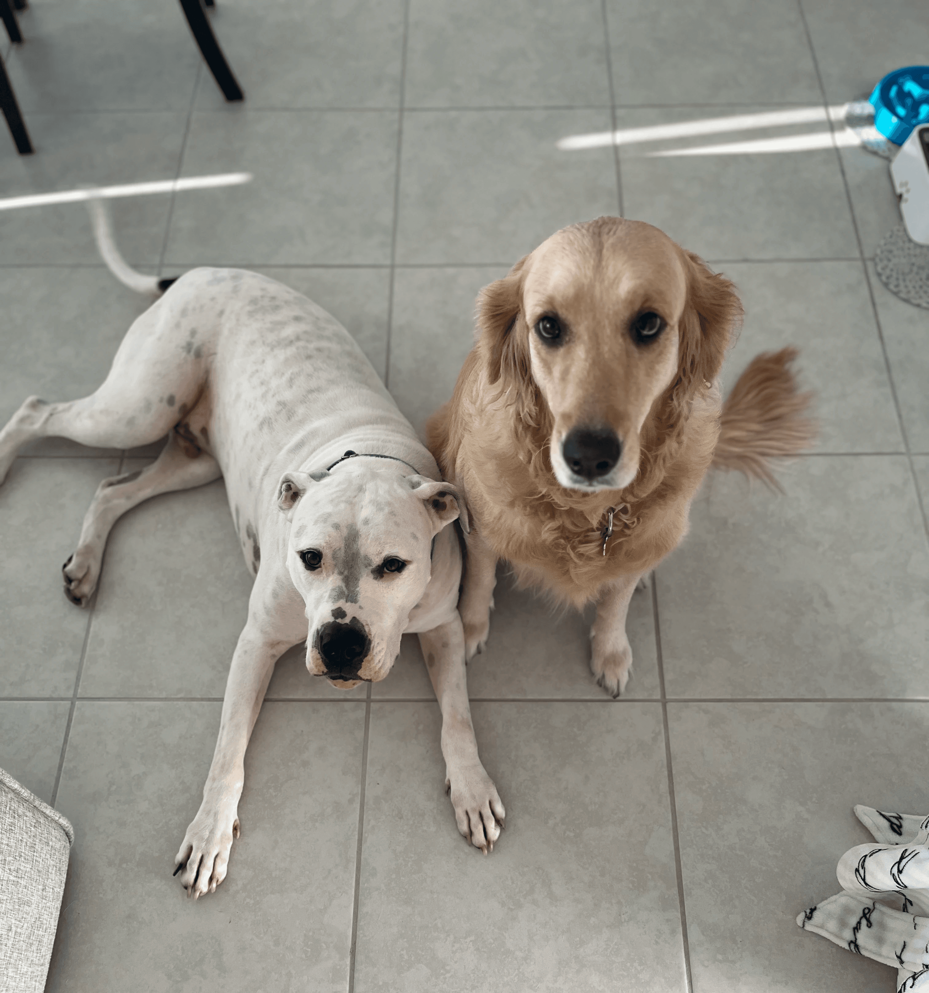 Photo of Hamza as a music producer