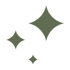 Wellness Support icon