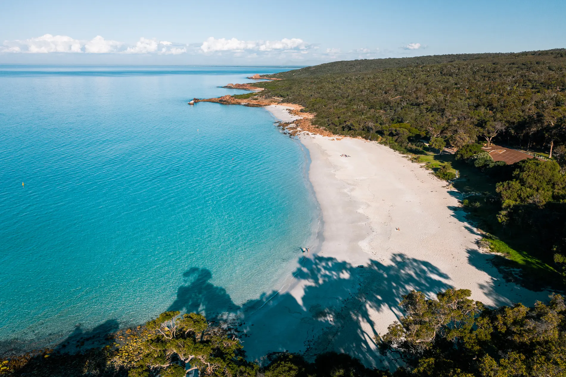 Aerial of a calm bay with a white beach fringed by dense coastal bush