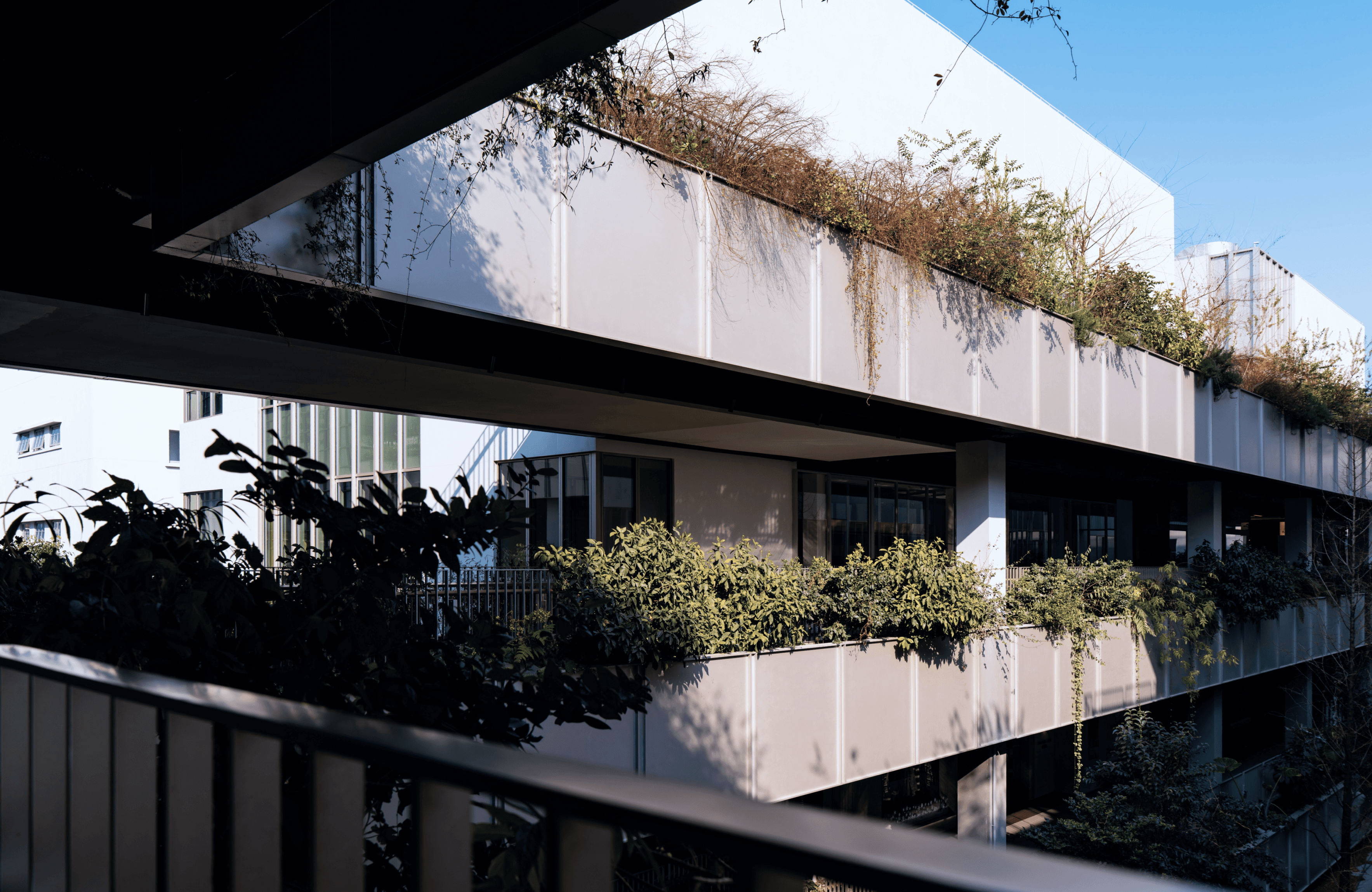 Image of a modern eco building