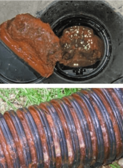 Seasonal planting