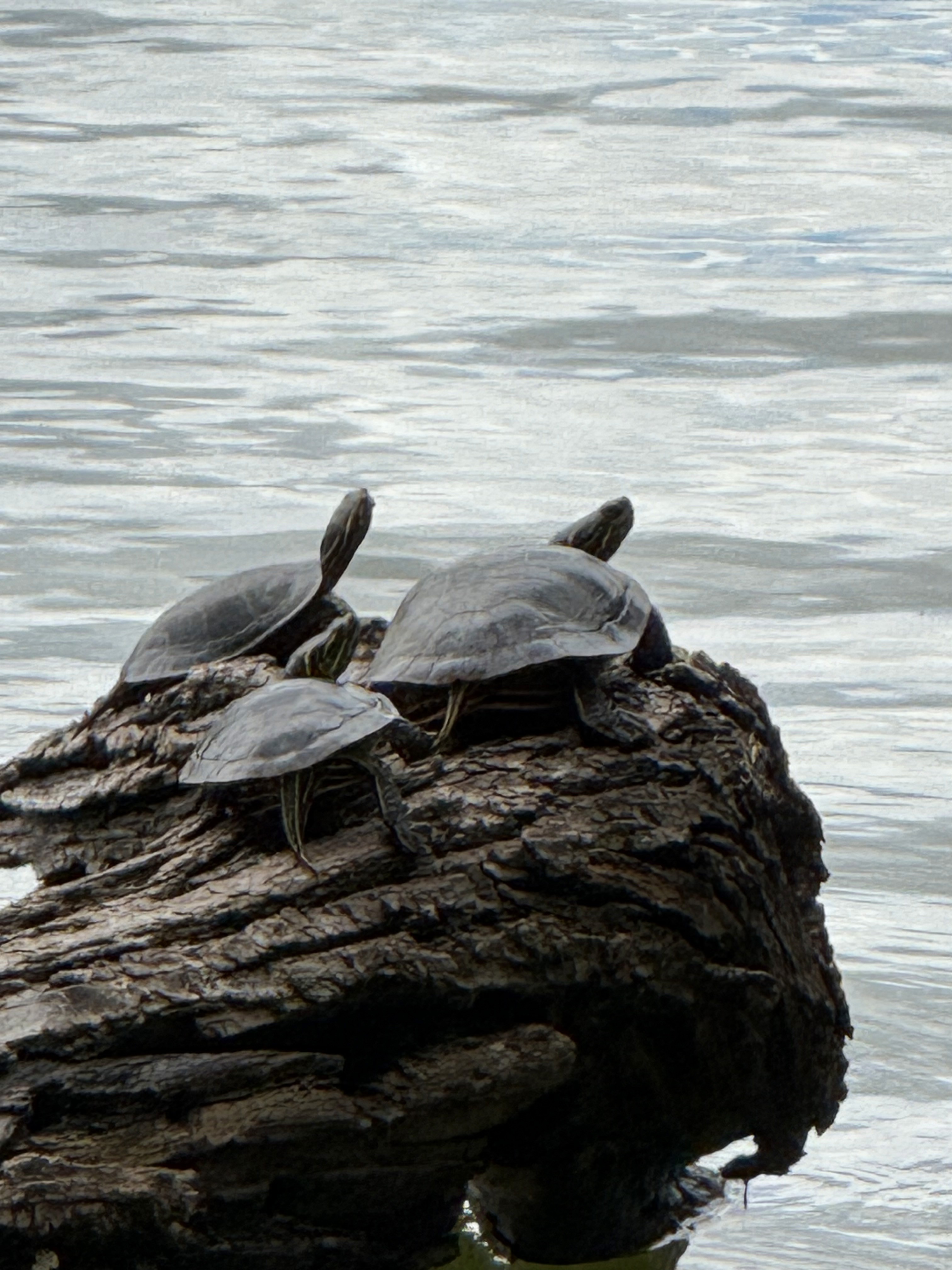 Three people in conversation with warm lighting, including a person wearing a hat and another person wrapped in what appears to be a textured shawl or sweater.