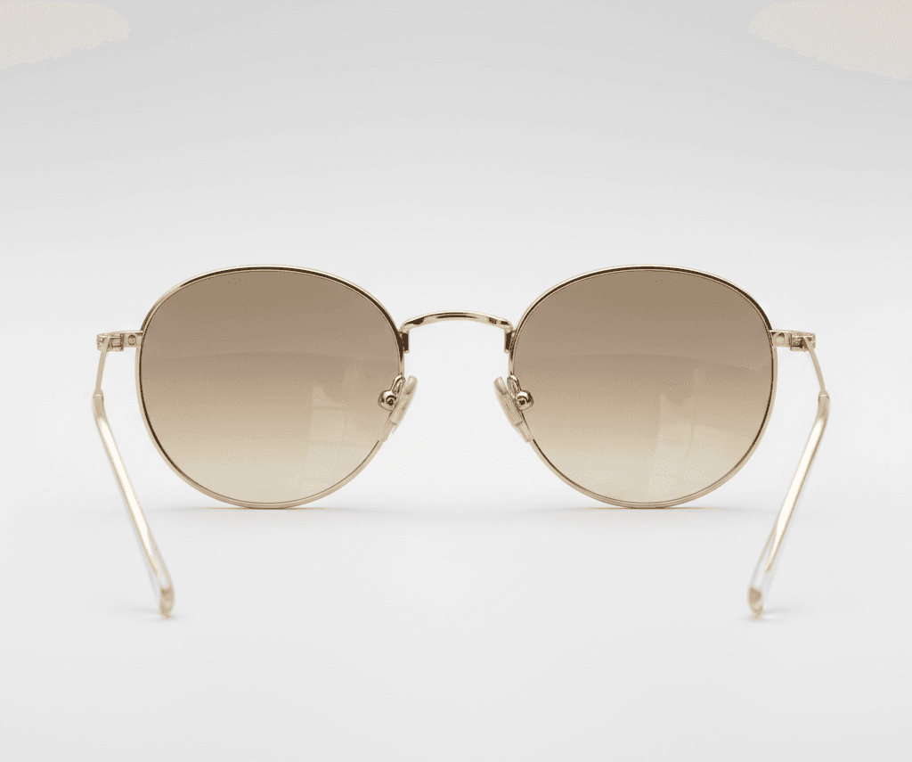 sunglasses back view