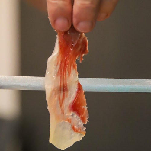 Loncha de jamón donde destaca la grasa