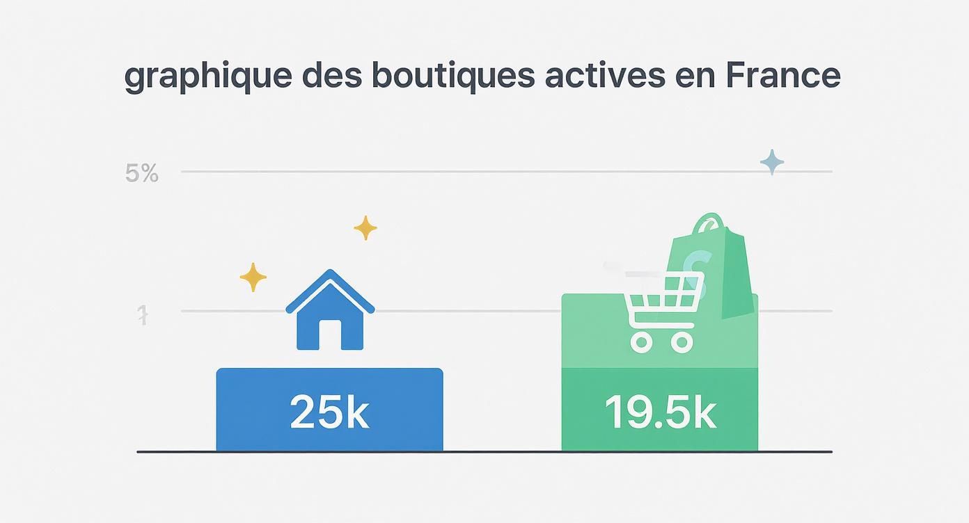 Graphique comparant le nombre de boutiques actives en France : 25k (physiques) et 19.5k (e-commerce).