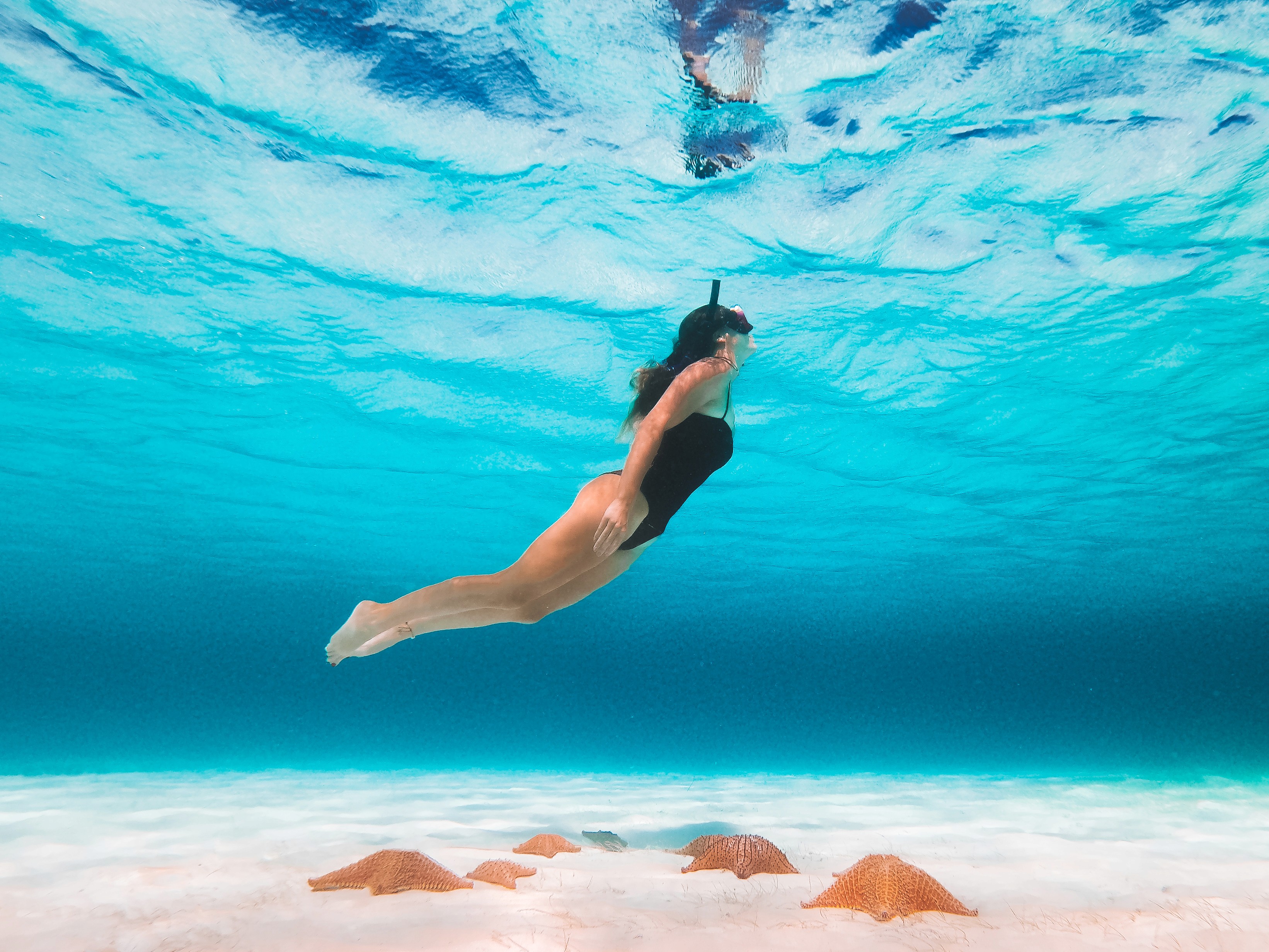 Soft Elegance: Studio Portraits in Light & Bloom