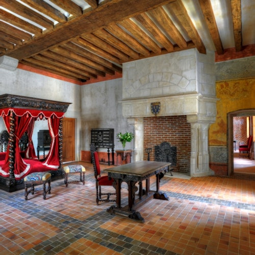 Château Royal d'Amboise + Château du Clos Lucé tickets in Amboise