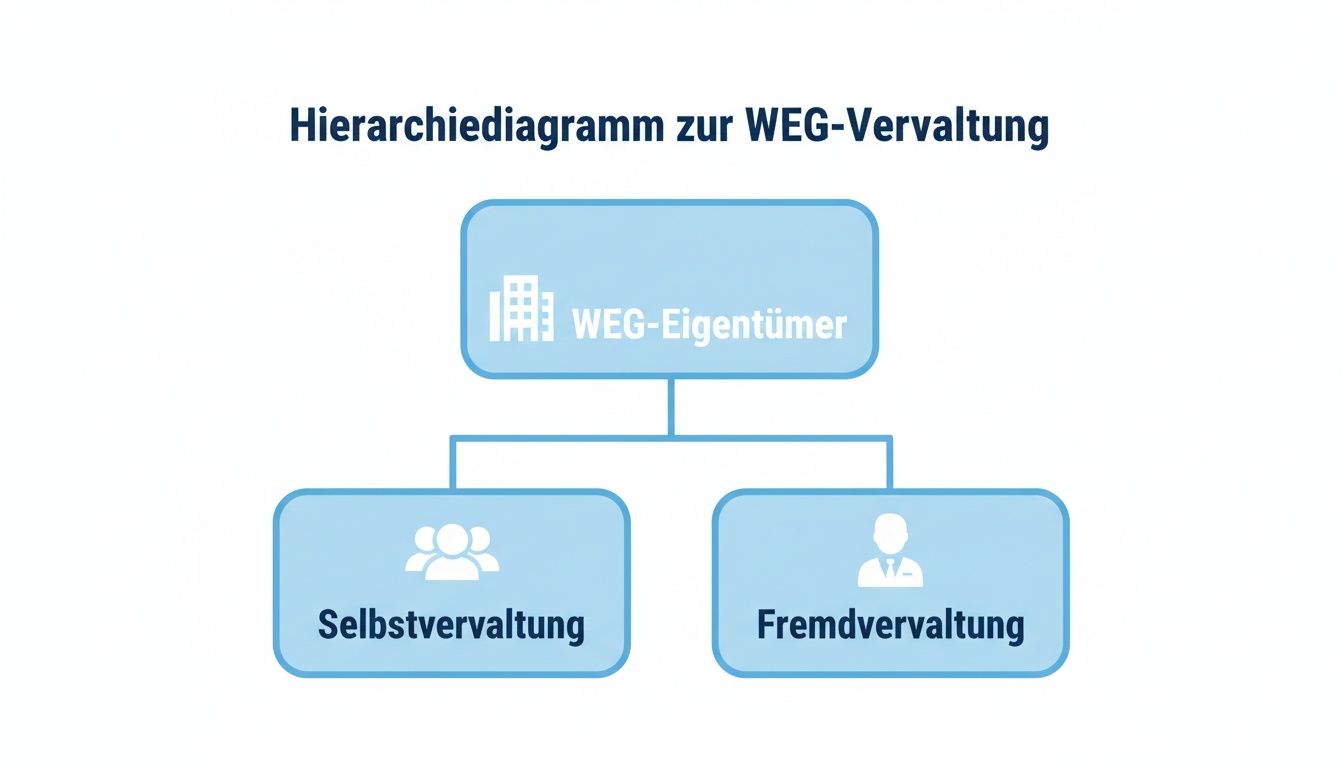 Hierarchiediagramm zur WEG-Verwaltung: WEG-Eigentümer können zwischen Selbstverwaltung und Fremdverwaltung wählen.