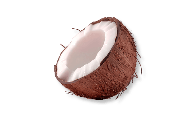 มะพร้าวอ่อนอบแห้ง Aromatic Young Coconut Dried Fruits