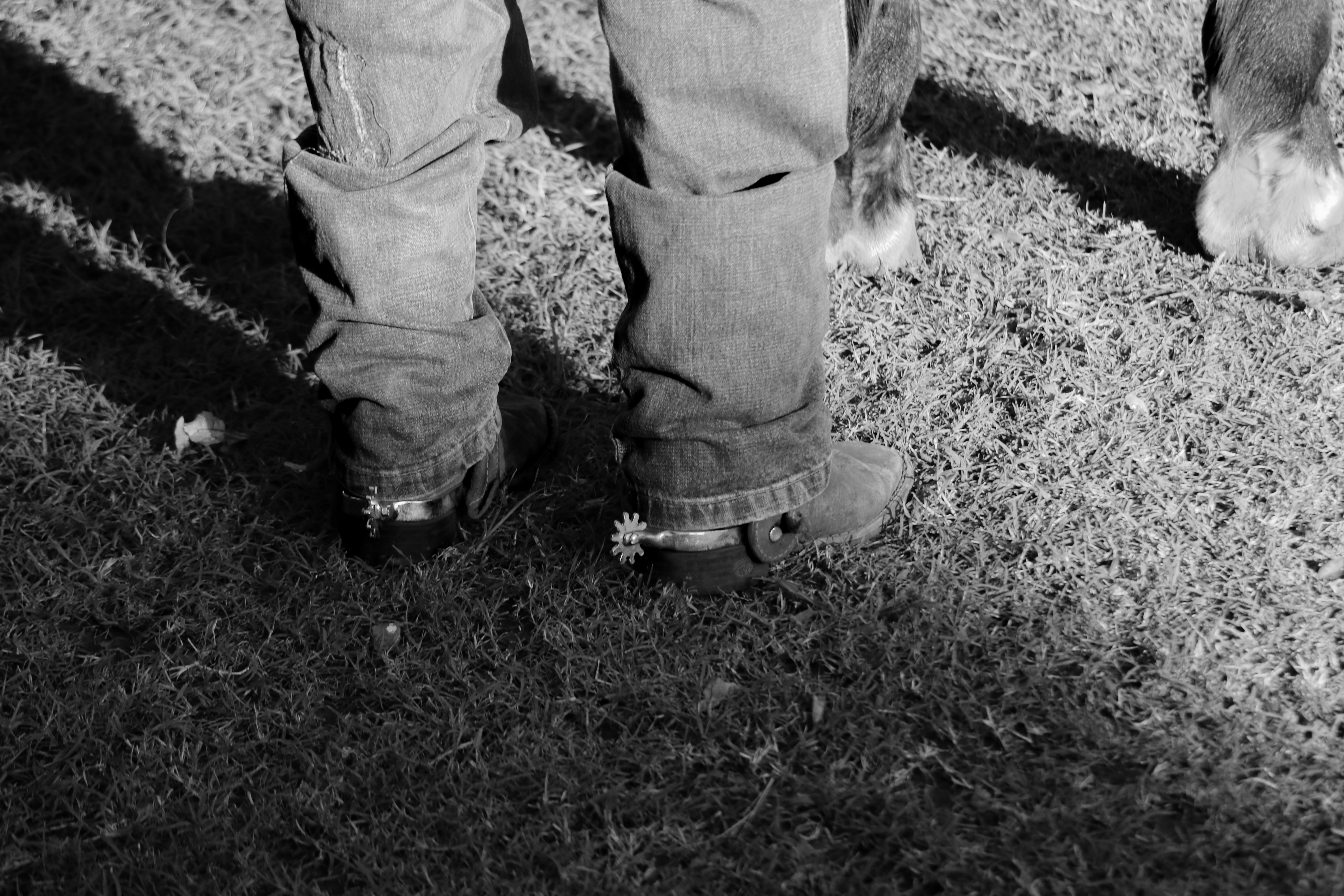Cowboy legs standing in the grass.