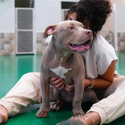 Marina with cute dog at doggy doggy home dubai facility
