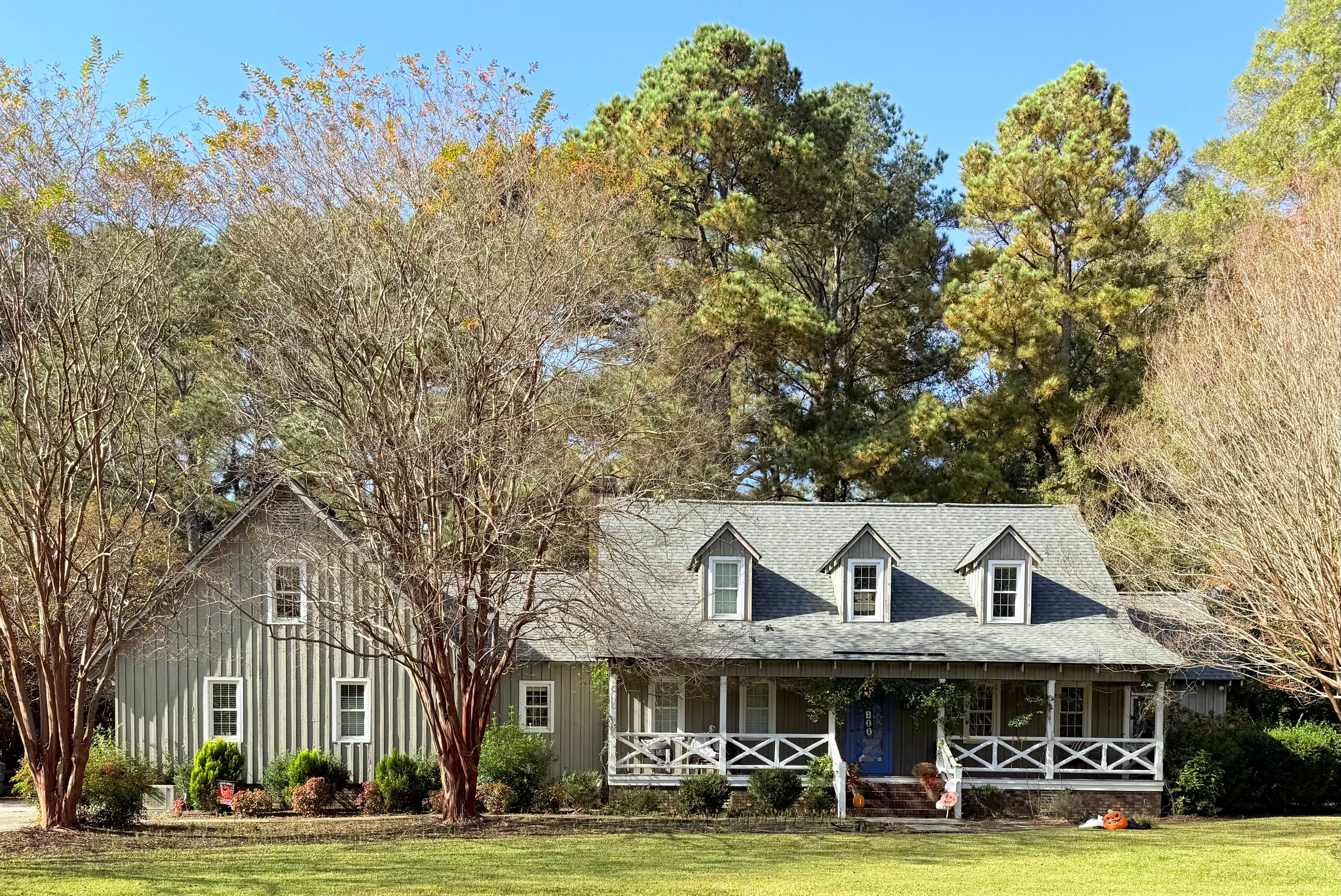 House with a covered front porch surrounded by tall pine trees.
