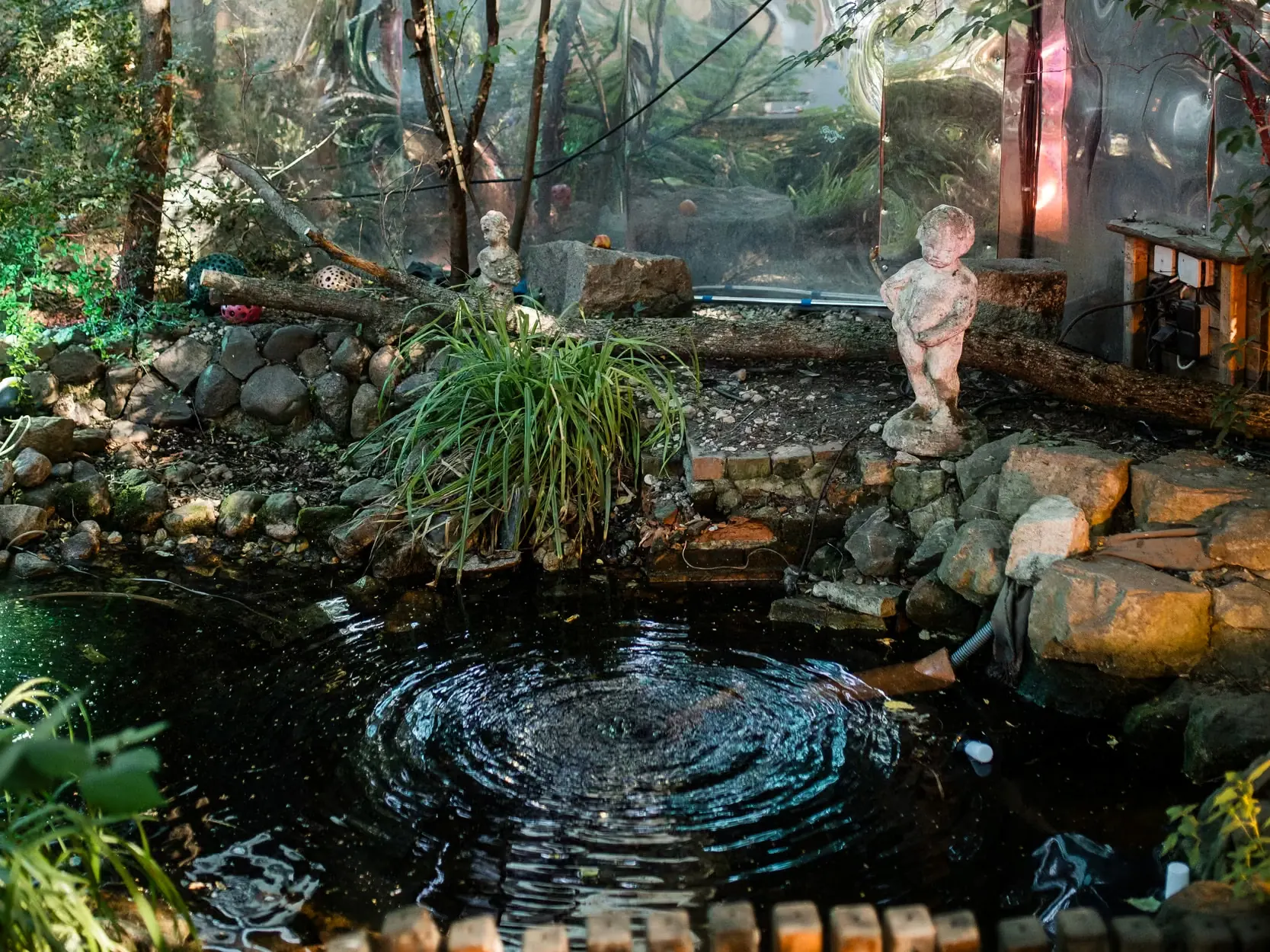 Teich mit Steinen und Pflanzen im Garten