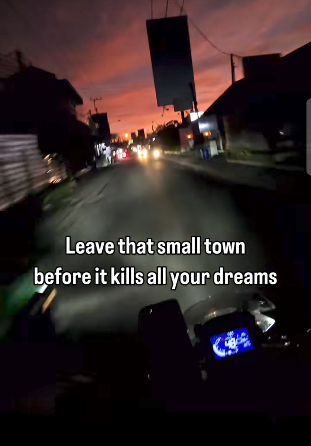 picture of plants and greenery