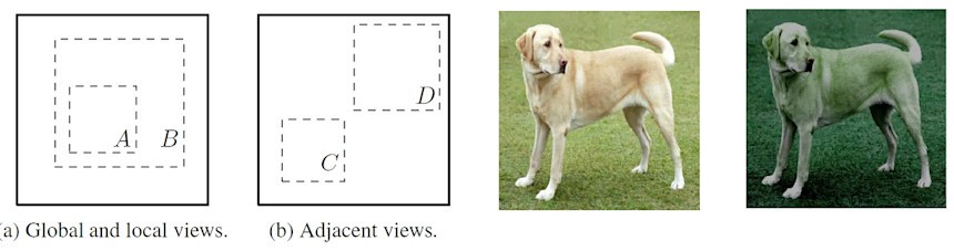 Cropping augmentations, original images, color distortion augmentation (from left to right)