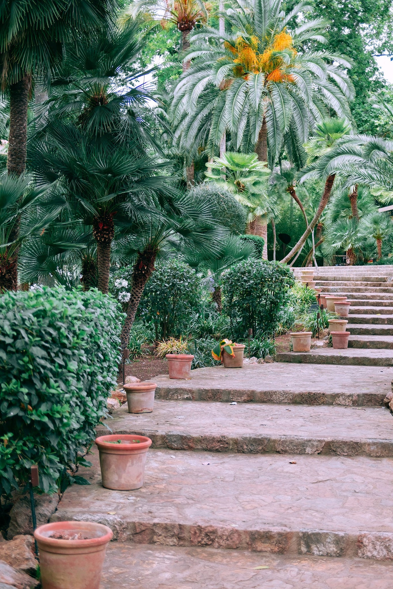 clean-stairs