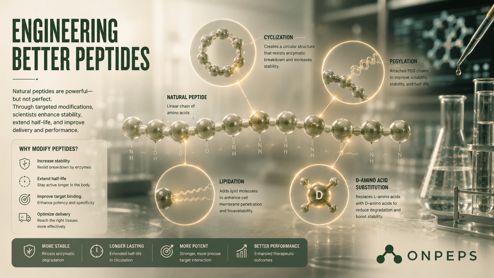 Engineering a Peptide That Survives the Human Body by onpeps - the best peptide information site