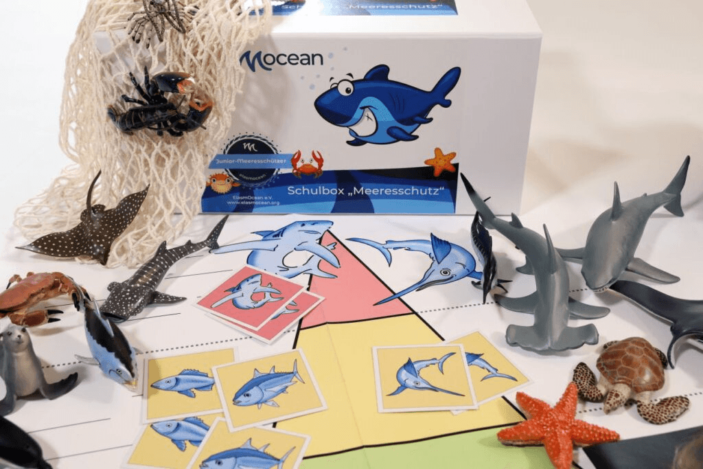 Verpackung der Schulbox „Meeresschutz" mit Spielkarten und Meerestier-Figuren