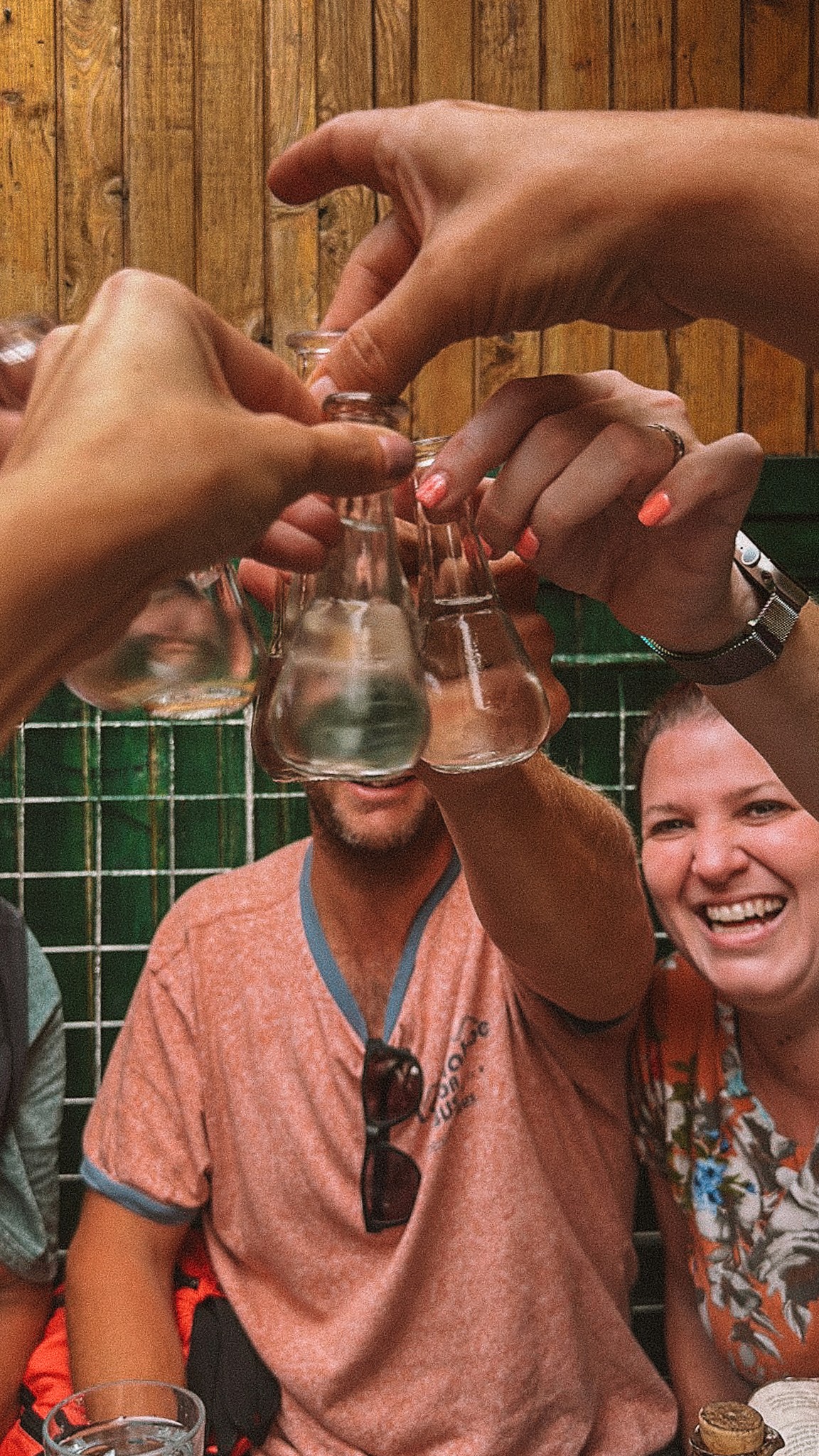 guests clinking rakija glasses