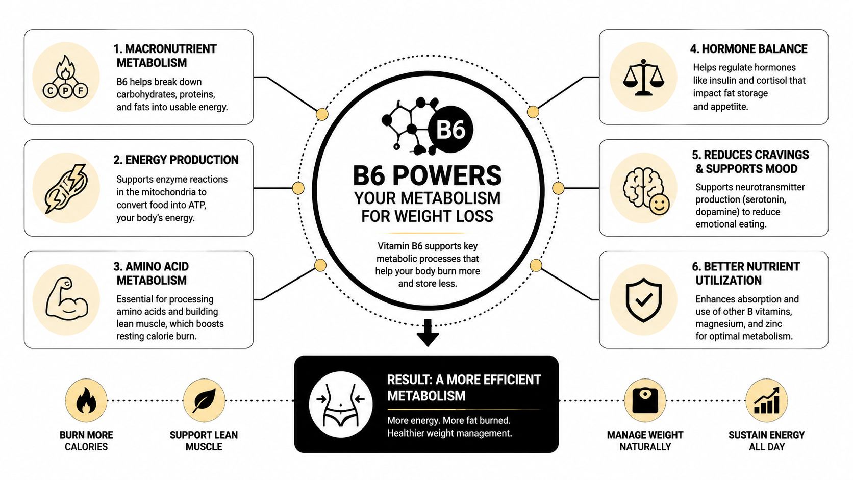 An infographic detailing how Vitamin B6 supports metabolism, hormone balance, energy production, and healthy weight loss.