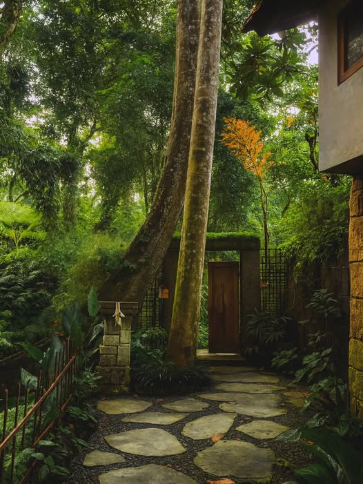 2-bedroom villa with rooftop and jungle views in Ubud