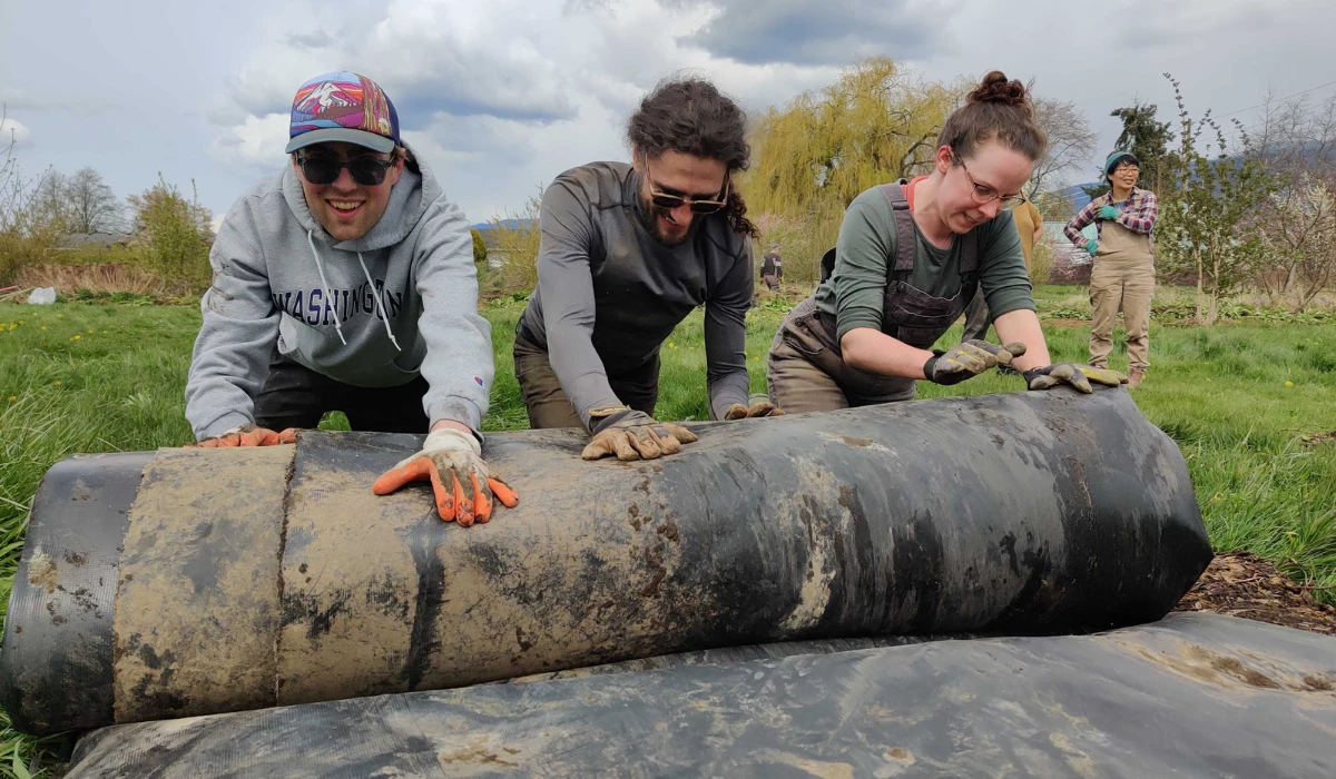 Volunteers work together to roll up an irrigation pipe during a Rooted Northwest farm work party.