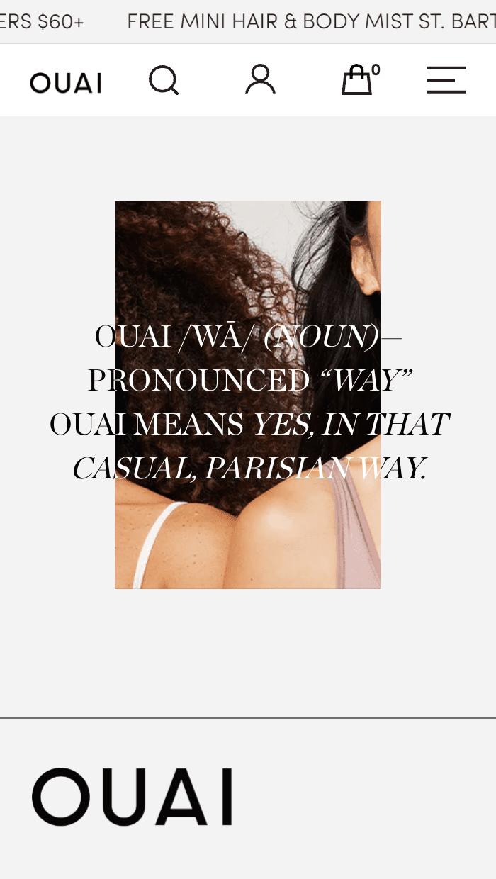 screen grab of website