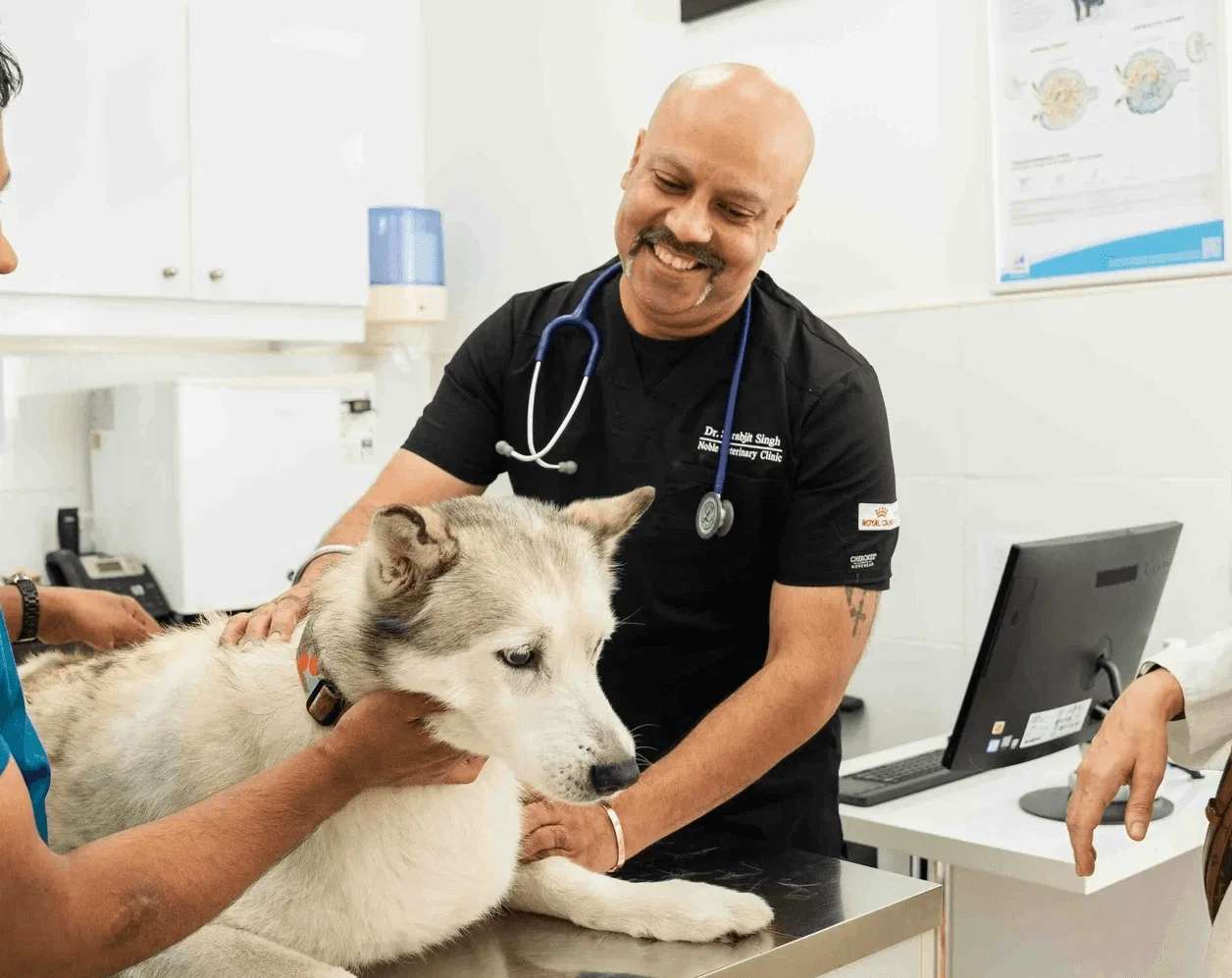 Dr. Sarabjit Singh conducts a veterinary procedure on a dog in a well-equipped clinic.