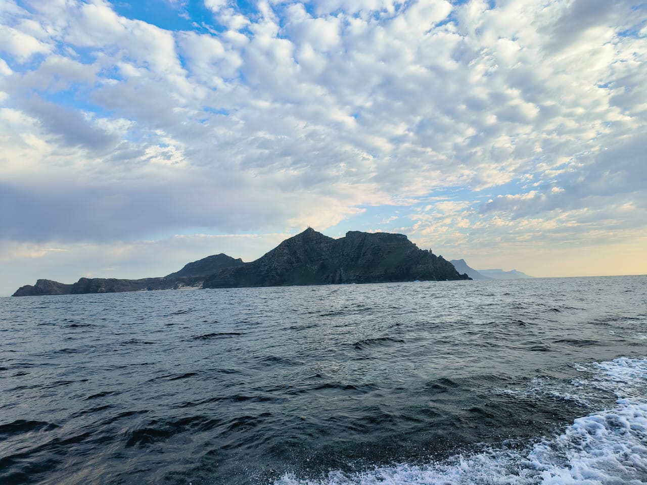 Fishermen celebrating a successful catch on a Salt Safari charter.
