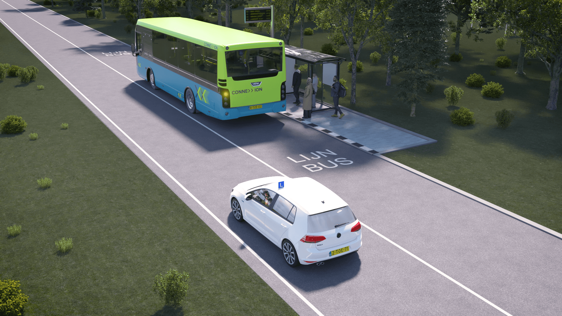 A winding road through a dense pine forest.