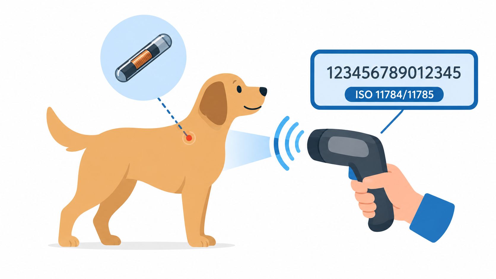 A hand-held scanner reads a microchip implanted under the skin of a golden dog, displaying identification information.
