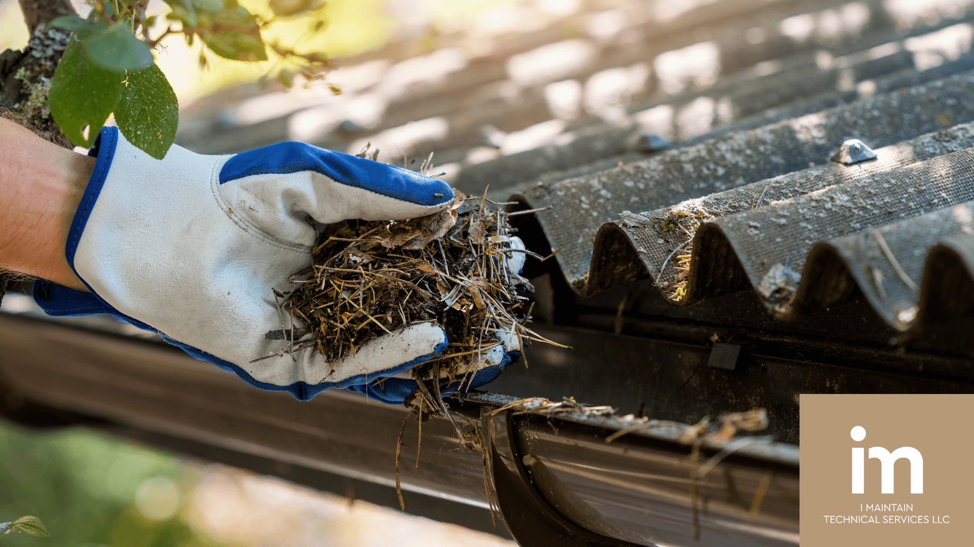 gutter needs cleaning