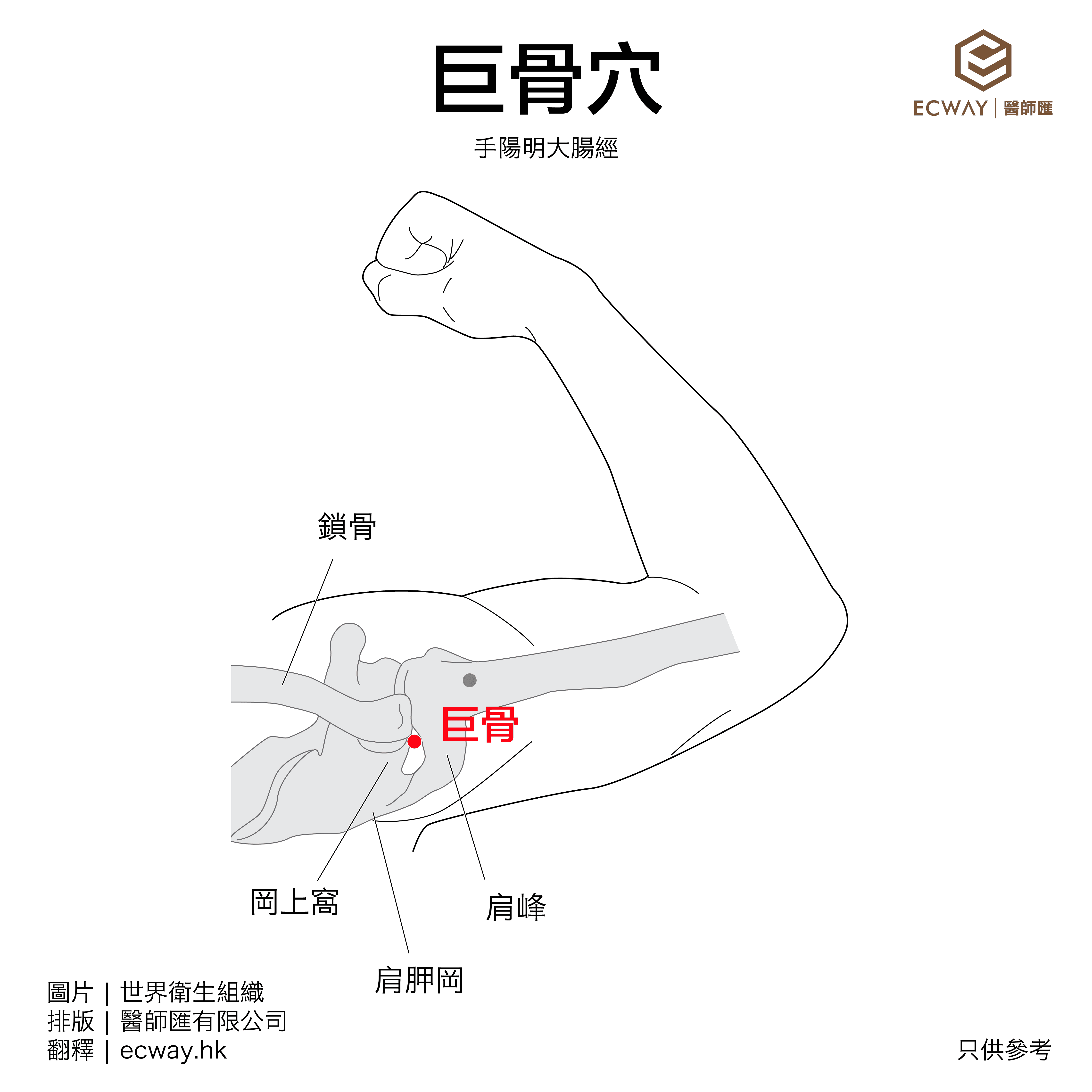 巨骨穴