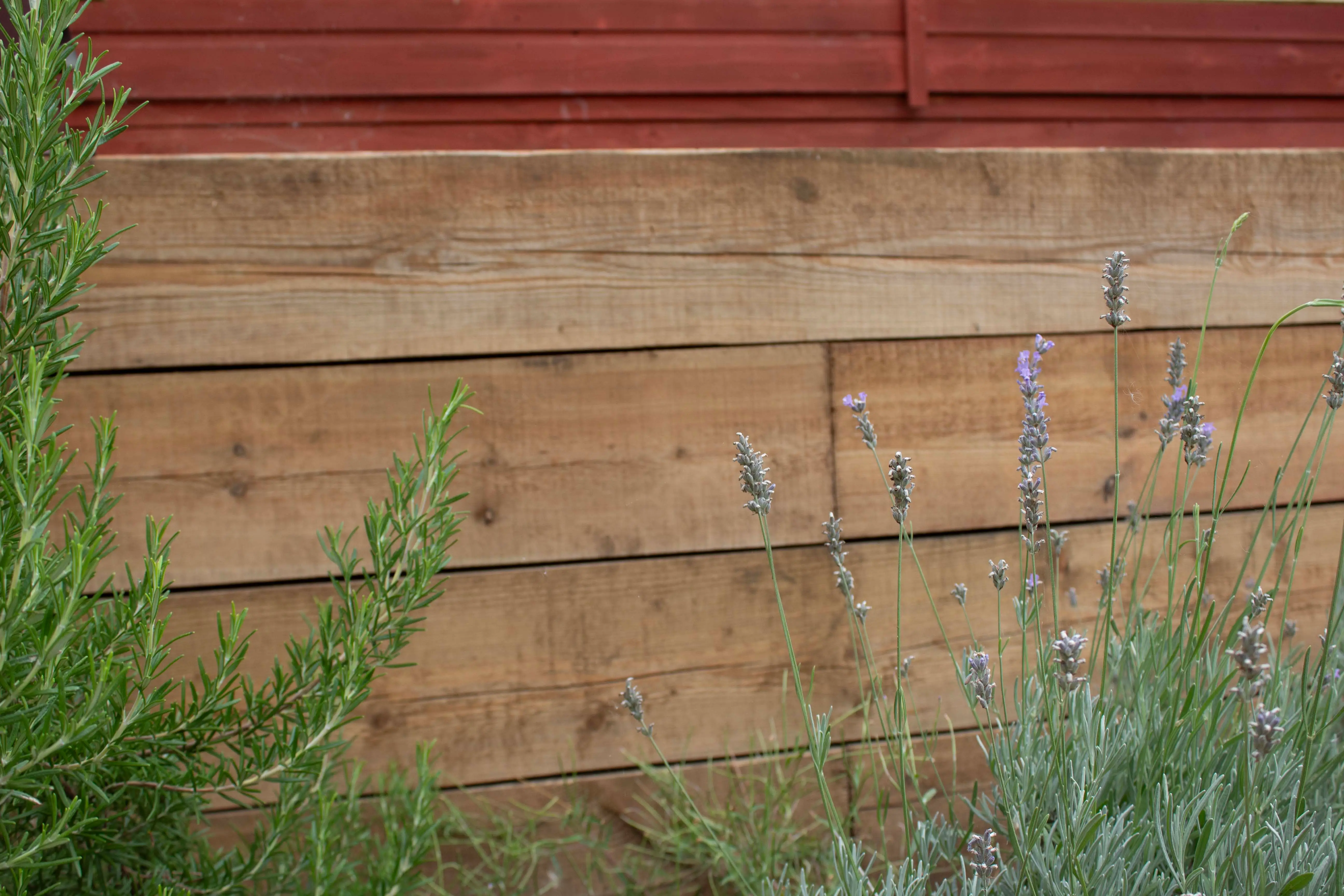Wooden wall with horizontal planks, partially obscured by green foliage along the bottom.