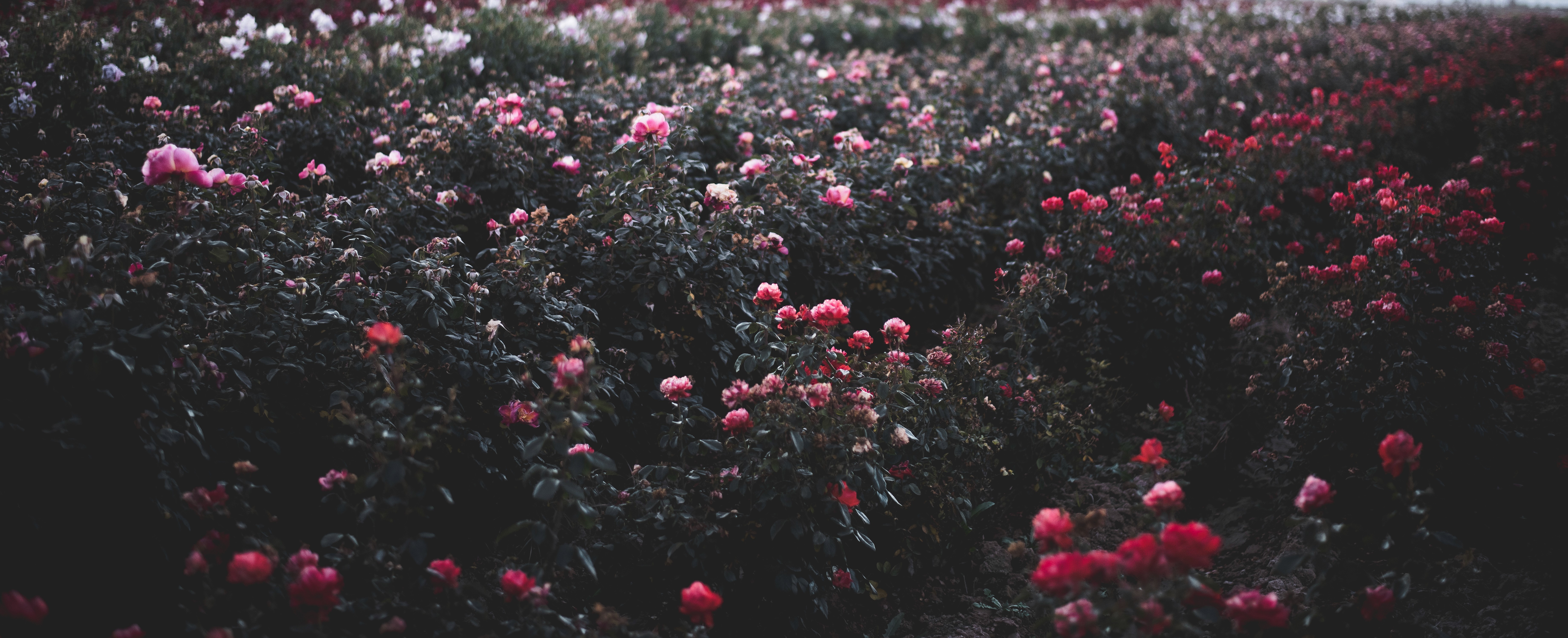 Man Wearing Sunglasses