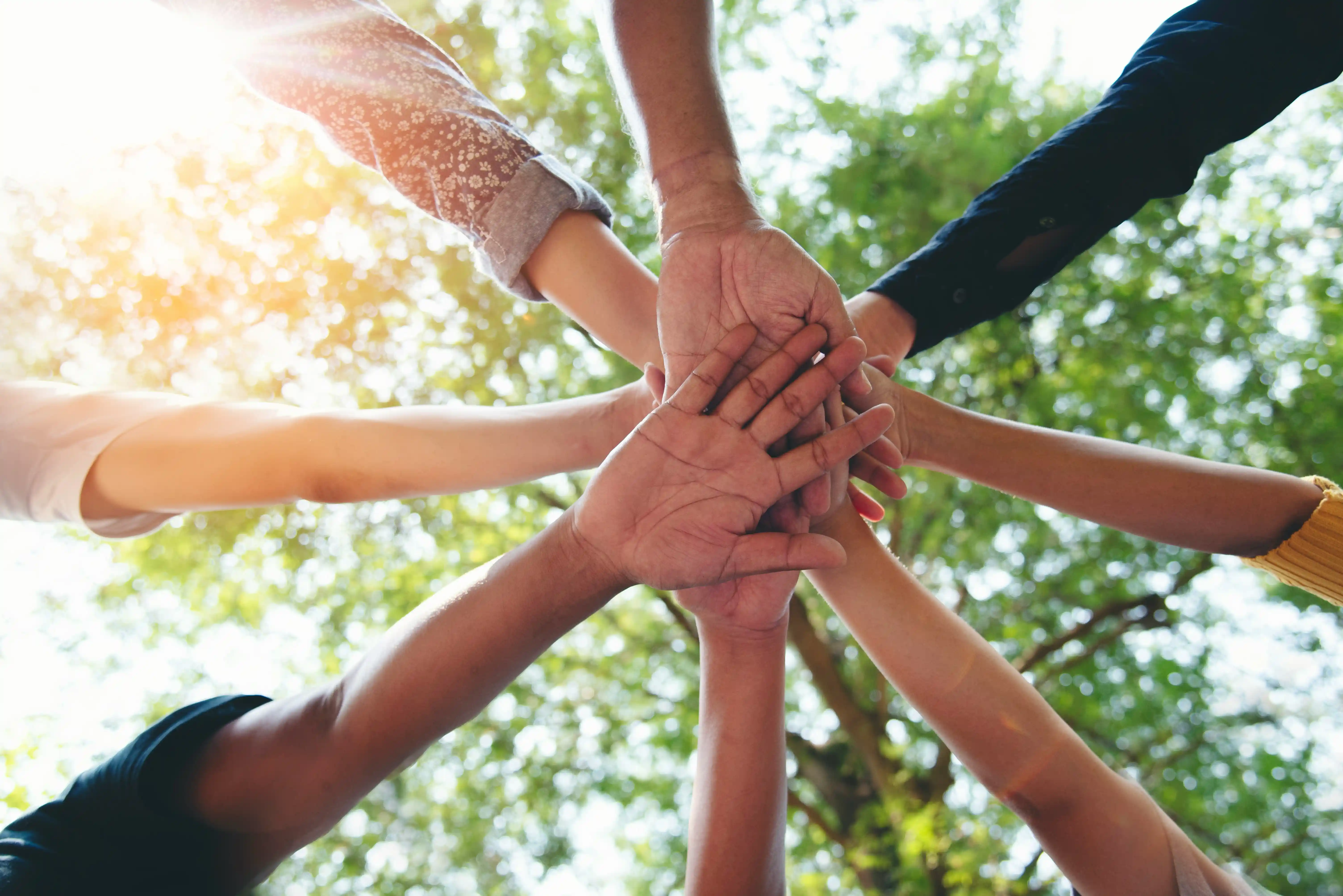 Discover Our Network & Services