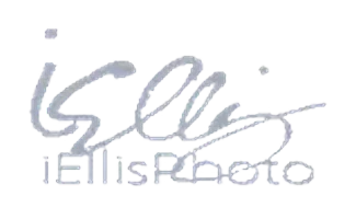 isaac-ellis-logo