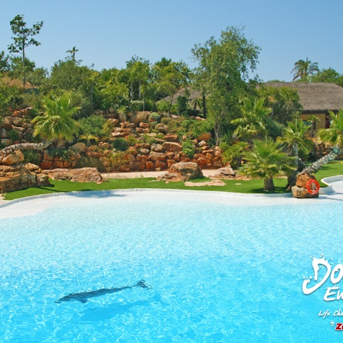 Experiencia con Delfines en Zoomarine
