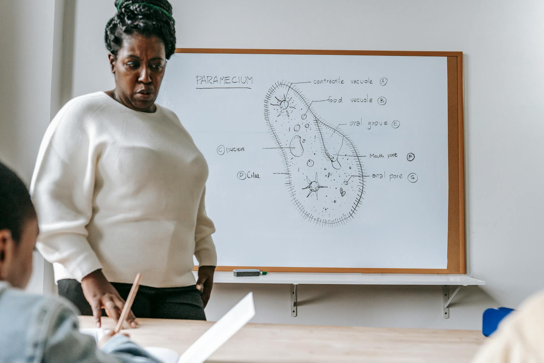A teacher pointing to a colorful flowchart on a digital screen to explain a complex concept.