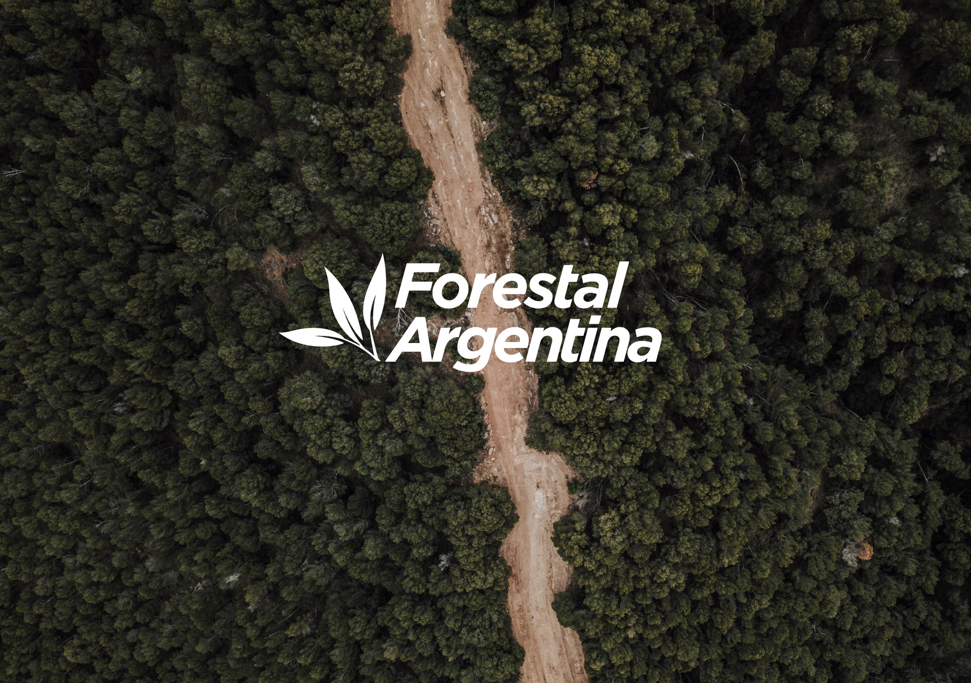 Vista aérea de un bosque denso dividido por un camino de tierra, con el título "Forestal Argentina" sobre el follaje.