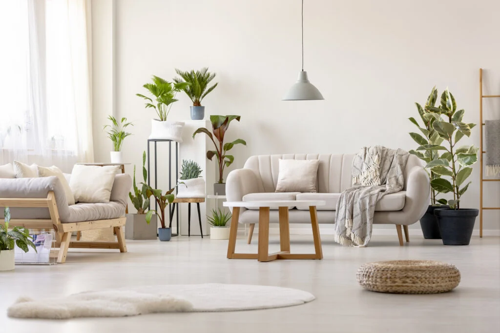 A bright elegant and cosy living space with indoor plants